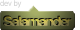 Salamander-Inc Design